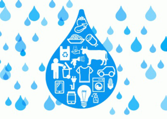 Webinar: Petjada Hídrica de les empreses: l’aigua i la Responsabilitat Social Corporativa